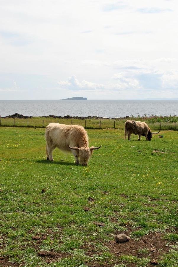 Clover Cottage Countryside Retreat With Sea Views Crail Ngoại thất bức ảnh