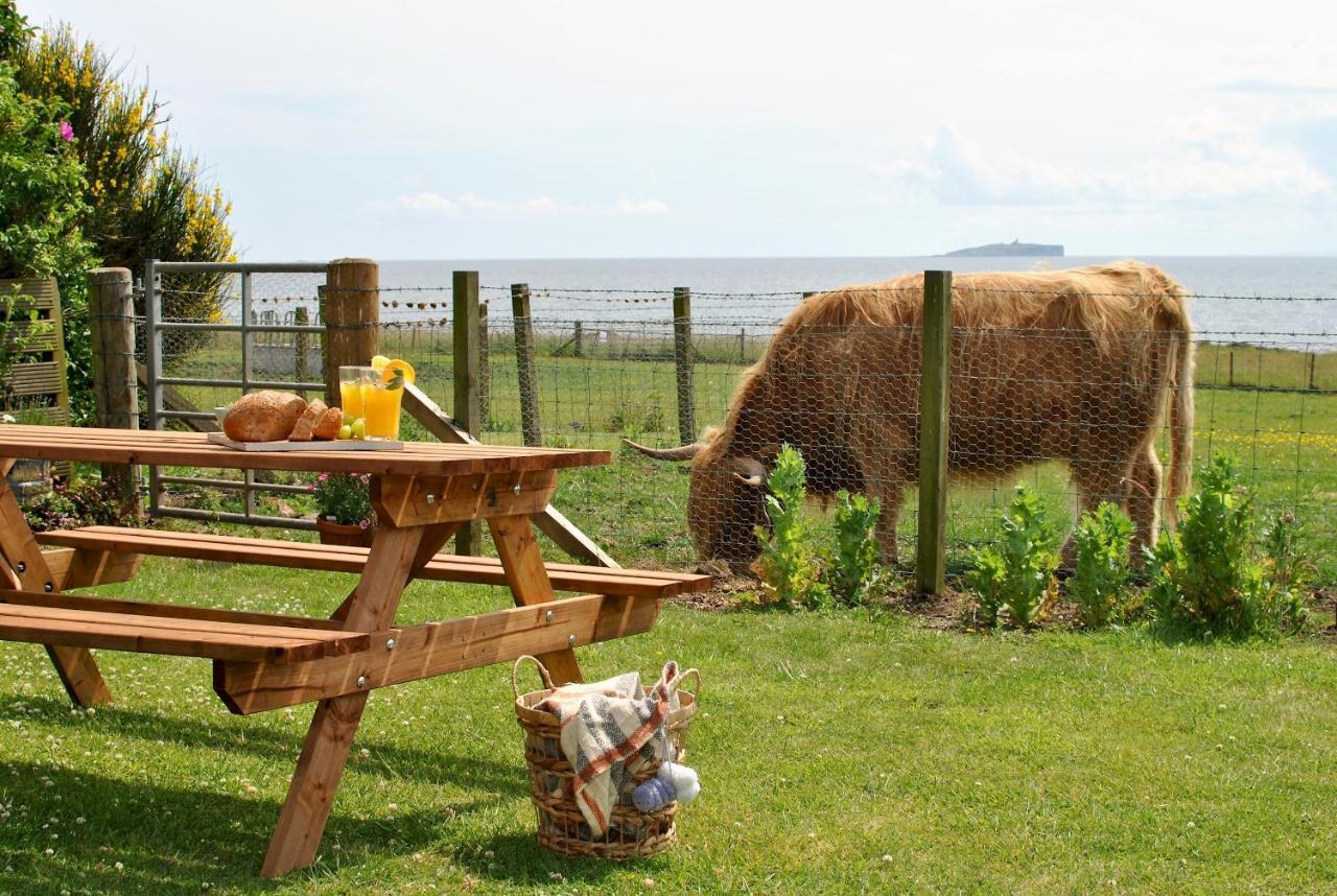 Clover Cottage Countryside Retreat With Sea Views Crail Ngoại thất bức ảnh
